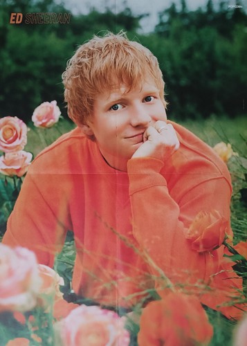Sheeran poster xl - sheeran, a2